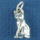 Cat Setting 3D Sterling Silver Charm Pendant