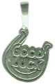 Horseshoe Good Luck Lucky Charm Sterling Silver Charm Pendant