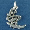 Chinese Text for Love Word Phrase Sterling Silver Charm Pendant