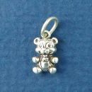 Assorted Small Charm Sterling Silver Image