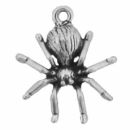 Bug Charm and Insect Charm Sterling Silver Image