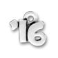 Graduation or Birthday Year 16 Sterling Silver Charm Pendant