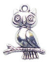 Owl Charm in Antique Silver Pewter on Branch