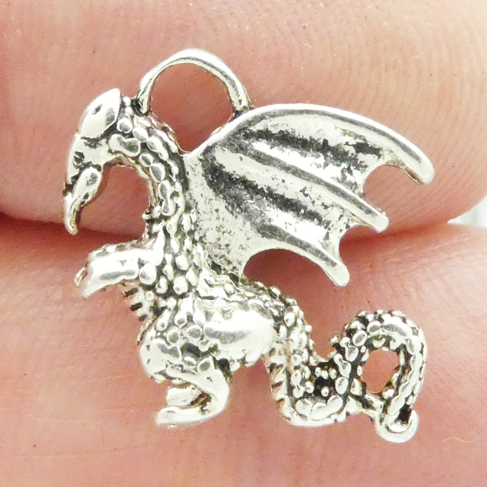 Wholesale Dragon Charms