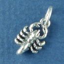Astrology Zodiac Sign Charm Scorpio 3D Sterling Silver Charm Pendant
