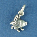 Holiday Easter Charm Sterling Sliver Image