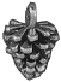 Pine Cone Small 3D Sterling Silver Charm Pendant