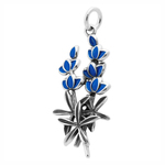 Enamel Charm Sterling Silver Image