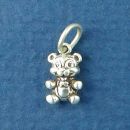 Assorted Small Charm Sterling Silver Image