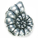 Snail 3D Silver Shell Charm in Antique Pewter