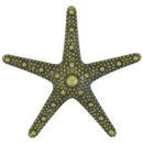 Bronze Starfish Pendant in Antique Pewter Medium