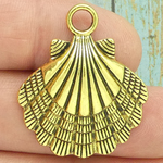 Gold Scallop Shell Charm Pewter