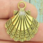 Gold Shell Pendant Pewter